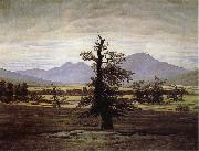 Caspar David Friedrich The Lone Tree oil painting picture wholesale